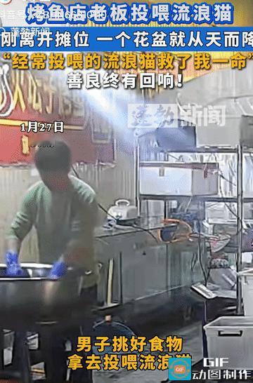 “自己的善心救了一命！”烤鱼店的老板经常会投喂流浪猫，也是因为自己的善心，救了自