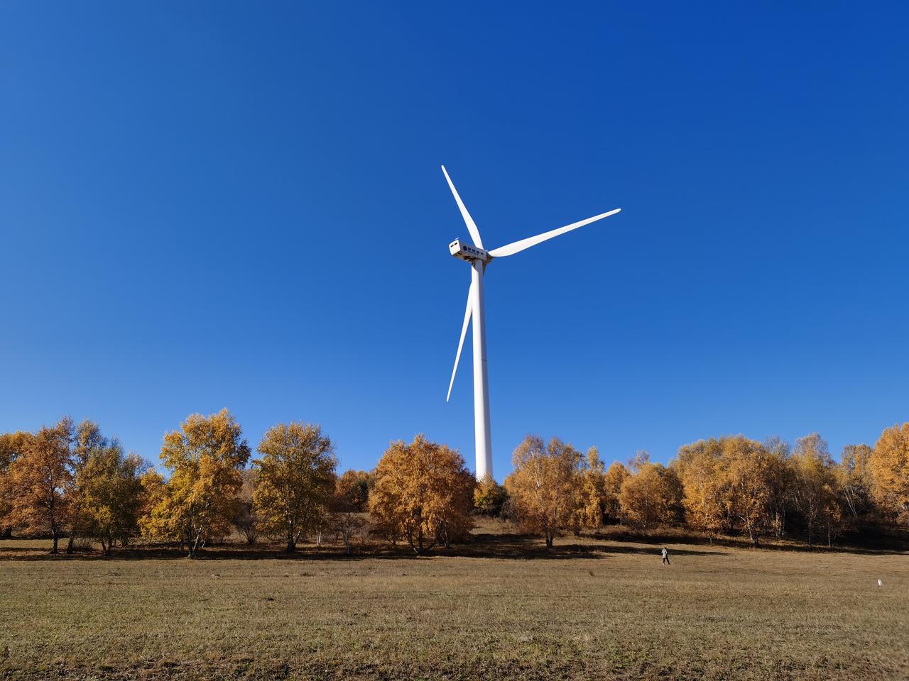 证券开始踩刹车
证券就是刹车键。大盘过热，证券精准调控，这是提醒股民朋友们，市场