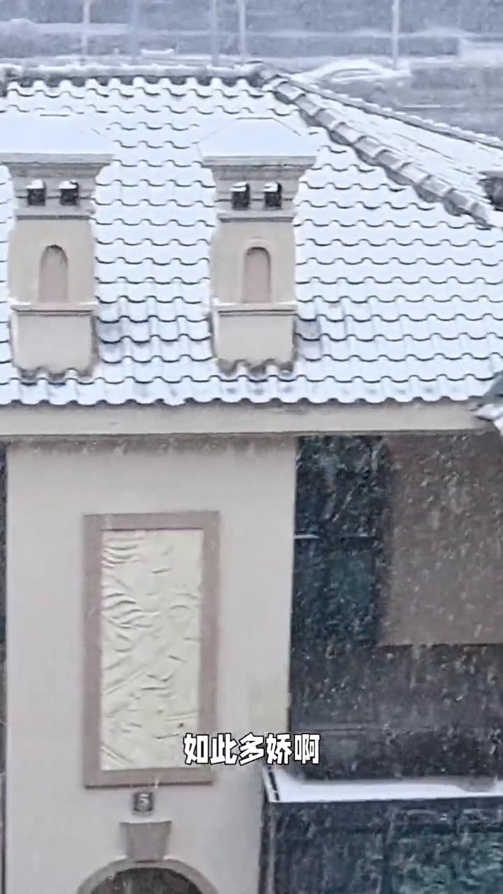 迎来跨年雪，飘飘洒酒如此多娇。
河南洛阳的跨年雪来啦，看看站在凉台上看到的雪景，