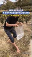 太聪明了！11月5日，福建一男子的金镯子坠入浑水沟，男子赤着脚在水沟里用手摸了半