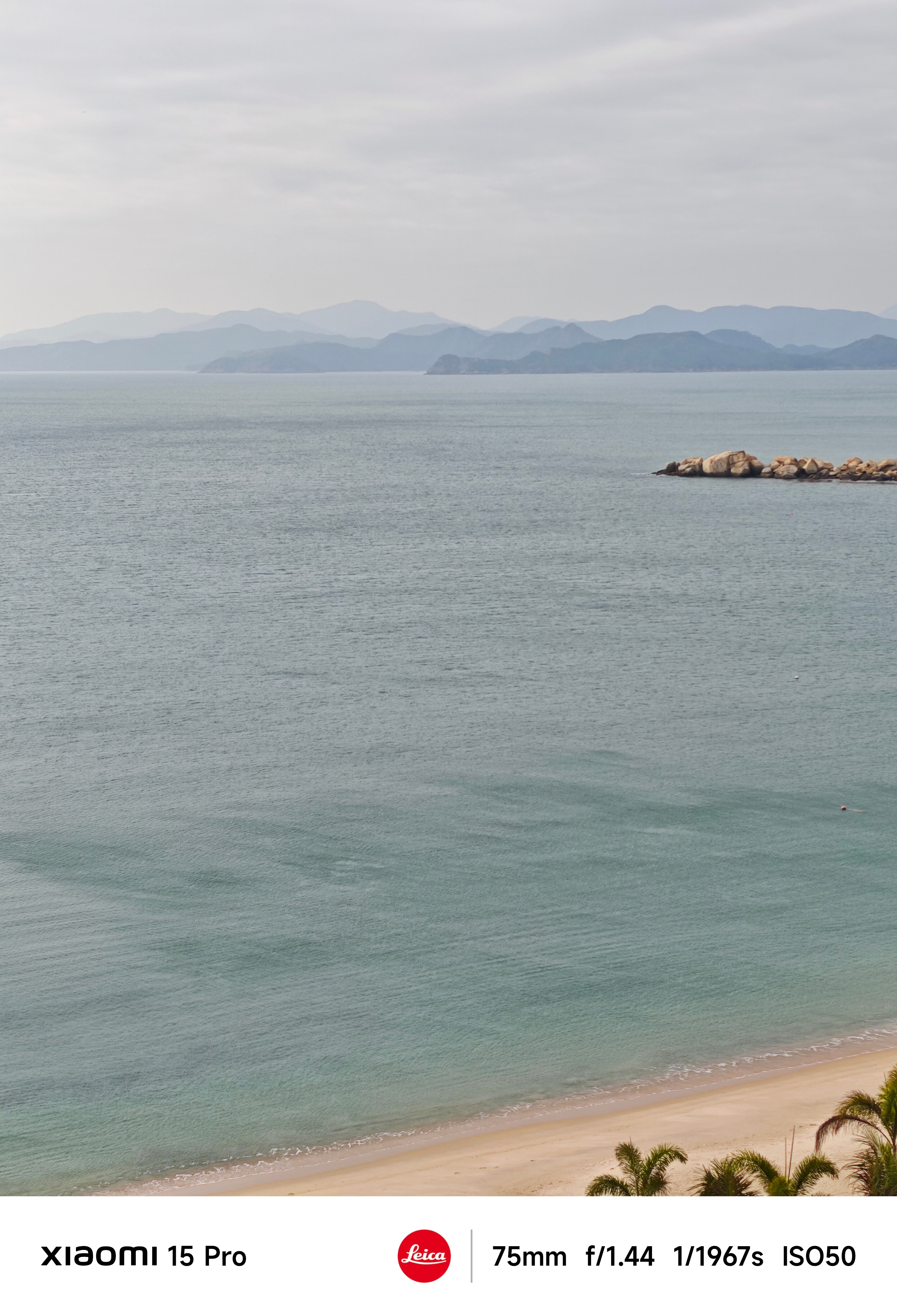 法拉利来中国也得进货我建议再去逛一下小米之家！肯定也空手出不来