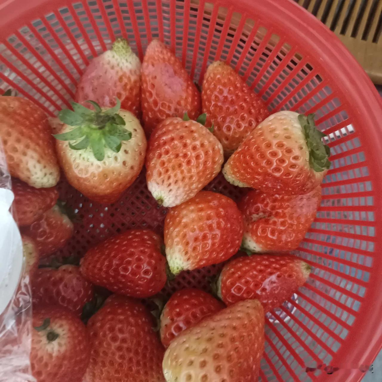 近日，车厘子和草莓🍓也塌房了！看网上说的真的是不敢再买来吃了。今天出去玩，孩子