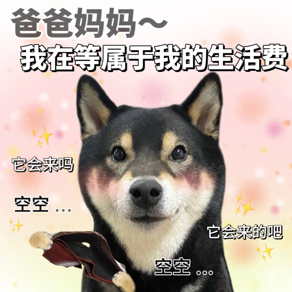 表情包|爸爸妈妈 我在等属于我的生活费😭