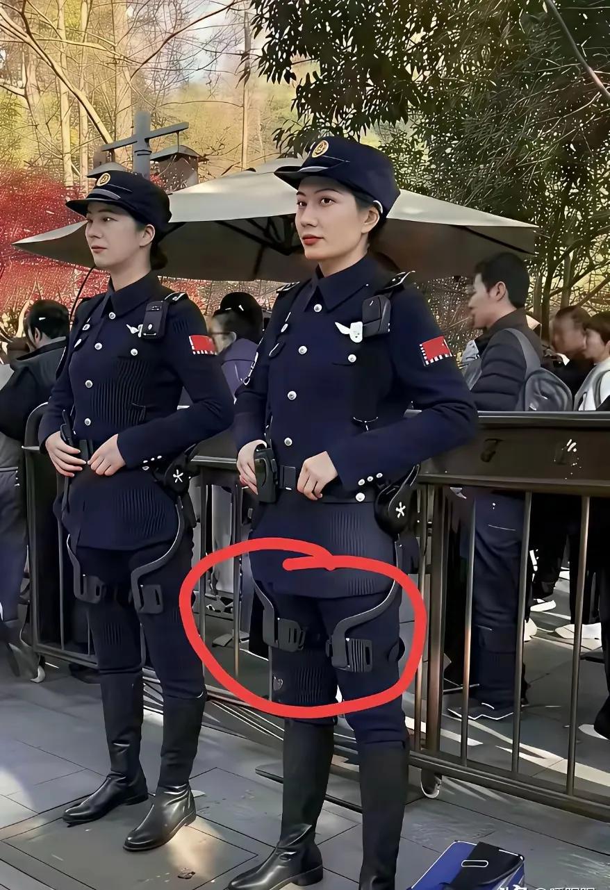 有没有体制内的高人？谁能告诉你一下，这是什么高科技？求解答！[祈祷]