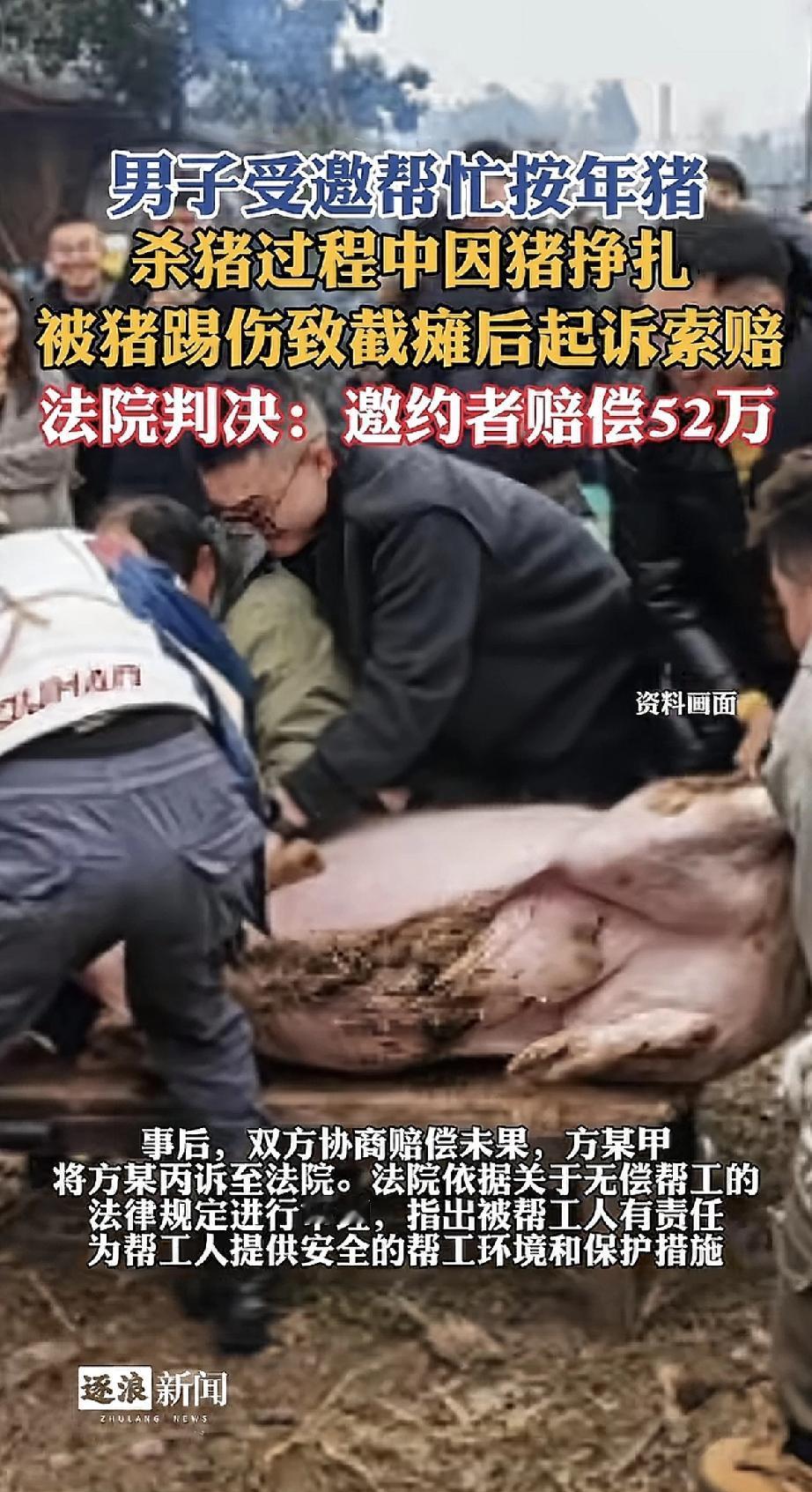 好心帮忙杀年猪，谁想到竟酿成悲剧！一男子受邀去帮忙按猪，过程中猪拼命挣扎，一脚踢