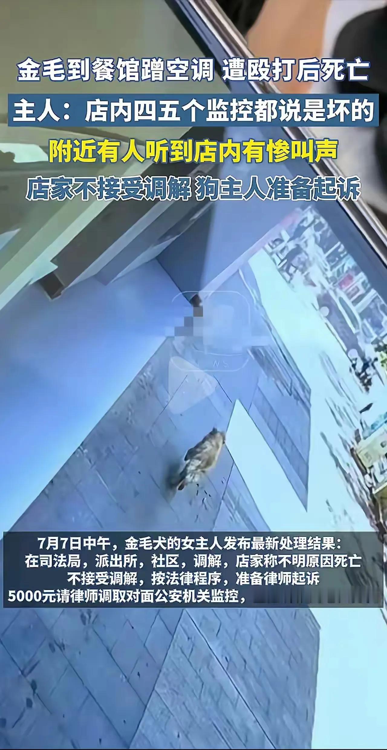 金毛狗李墩墩是怎么从家里跑出去的？李墩墩妈妈说，把狗锁到家里，不知道什么原因，狗