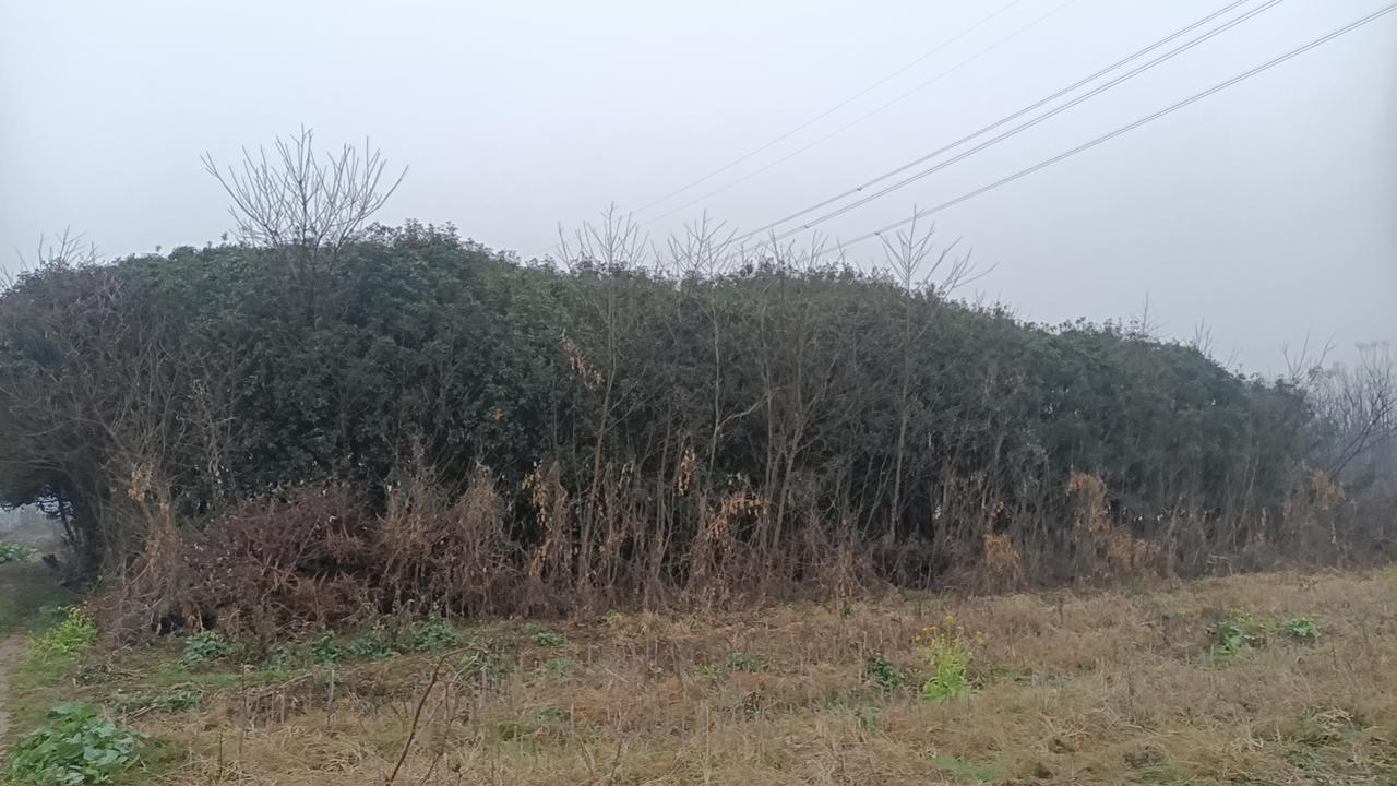 说起头条上的“热”，你有没有发现，这不仅仅是流量的数字游戏，更像是一场全民参与的