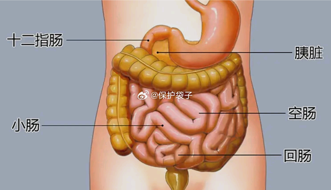 小伙腹痛CT查出肠道卡2把勺子照这小伙儿说法吃的新J盆友的食品以为什么勺子之类误