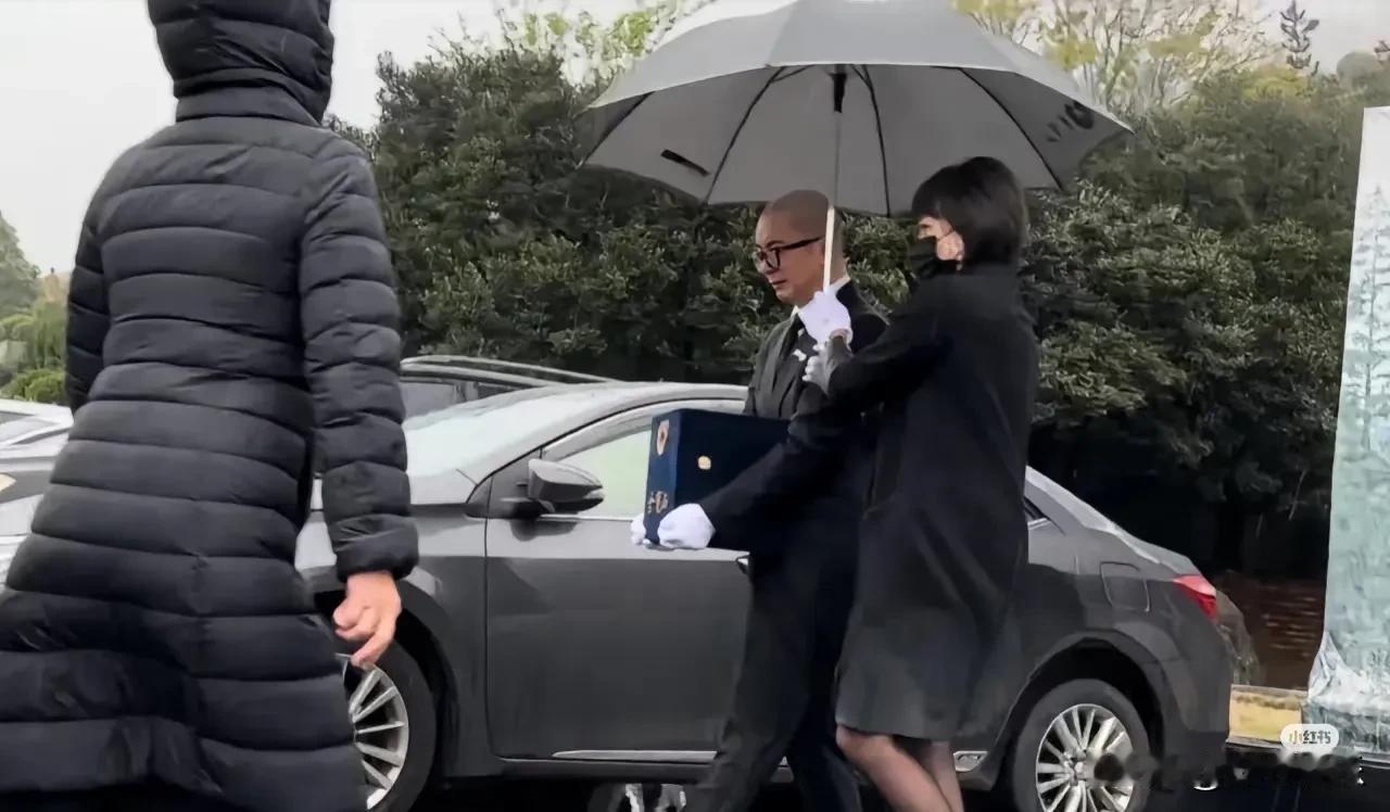 大s今日下葬在雨中走了
结婚刮风，下葬下雨，风雨人生，就这样落幕了…