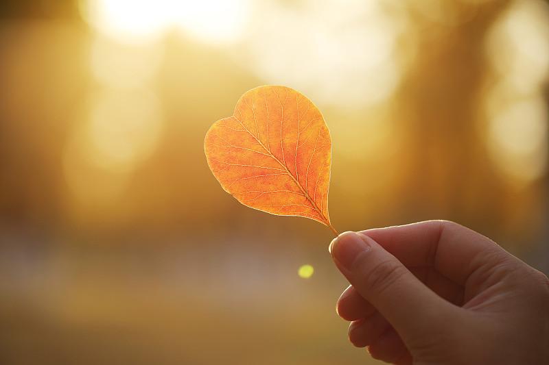 普通人的爱是什么

个人观点：每个人对爱的理解不同，真爱和普通人的爱，有一定的差