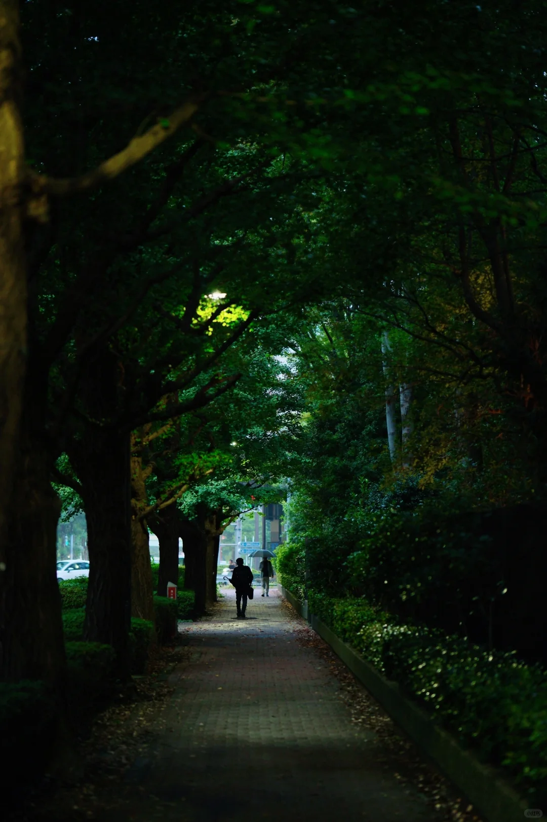 东京都庭院美术馆｜极致Art Deco艺术美学