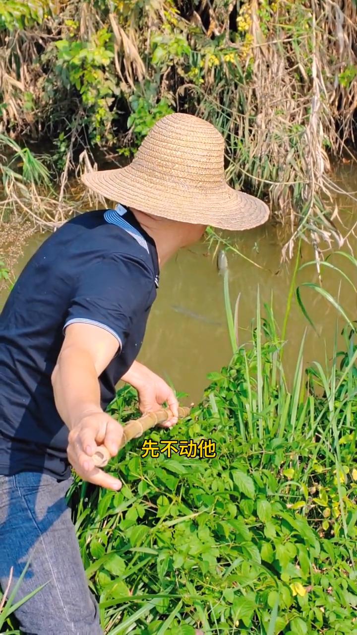 游过来了两条，先不动它，等它游到一起并线的时候来个一箭双雕，等待时机。机会来了，