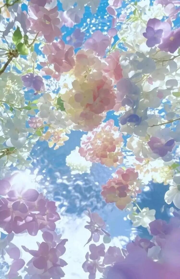 审美积累 