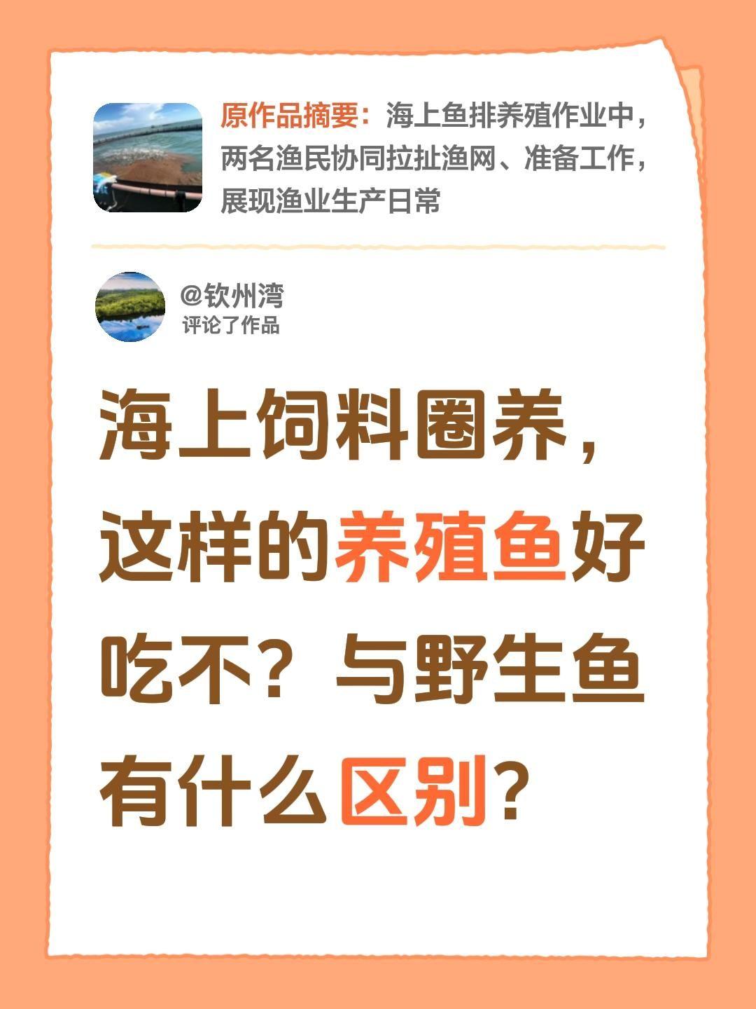 我评论了@发呆大赛冠军 的作品：
海上饲料圈养，这样的养殖鱼好吃不？与野生鱼有什
