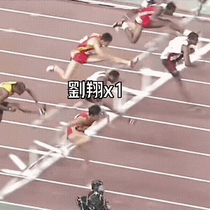 偶然间看到刘翔在大阪世锦赛夺冠的视频，里面日本解说都是非常激动，但是不知道为何随
