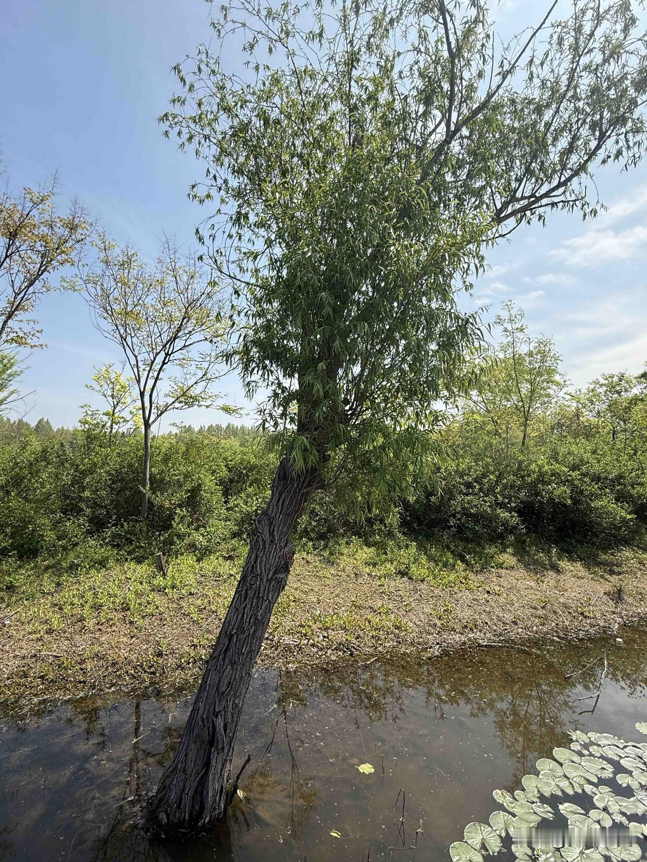 【小对联】
上：过分；
下：……？