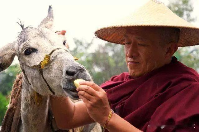 宗萨仁波切说：“不要去谈论别人的短处，因为这样会增长你的自我。应该经常去发现别人