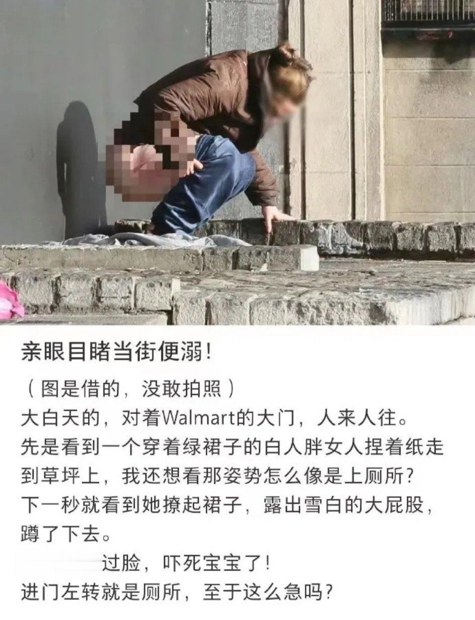 白人当街便溺，必是情有可原。若是一个来自中国大陆的小孩子憋不住，只怕会沸反盈天骂
