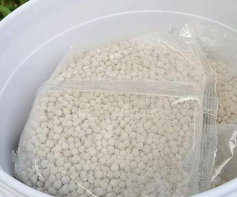 印度这回是真尴尬，一个号称“农业强国”的地方，春耕季却发现肥料成了稀缺品。

说