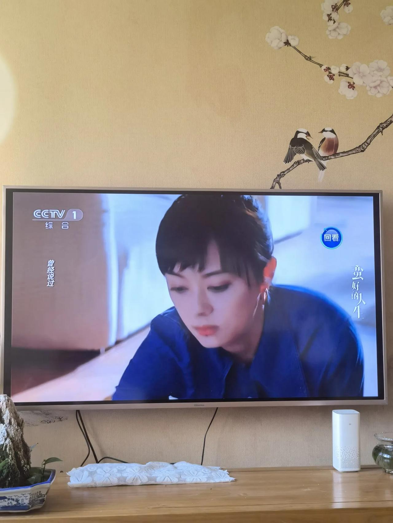 母亲节追剧《蛮好的人生》 孙俪主演的，剧中她是近40岁的母亲又是人寿员，遭遇同行