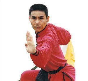 1990年，全国武术冠军赵长军在回家途中，和三名小混混发生冲突。赵长军警告不想挨