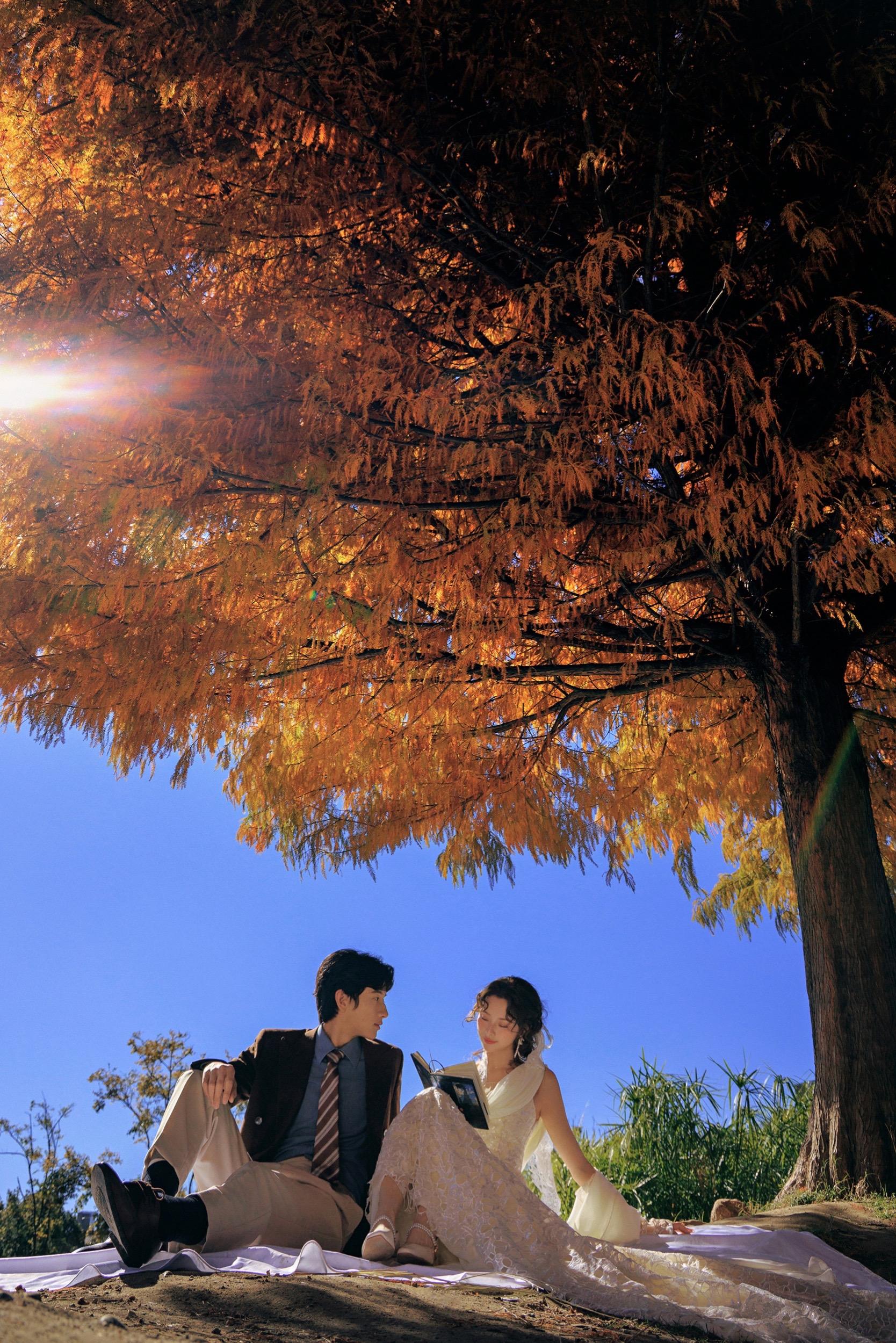 关于秋天的浪漫.