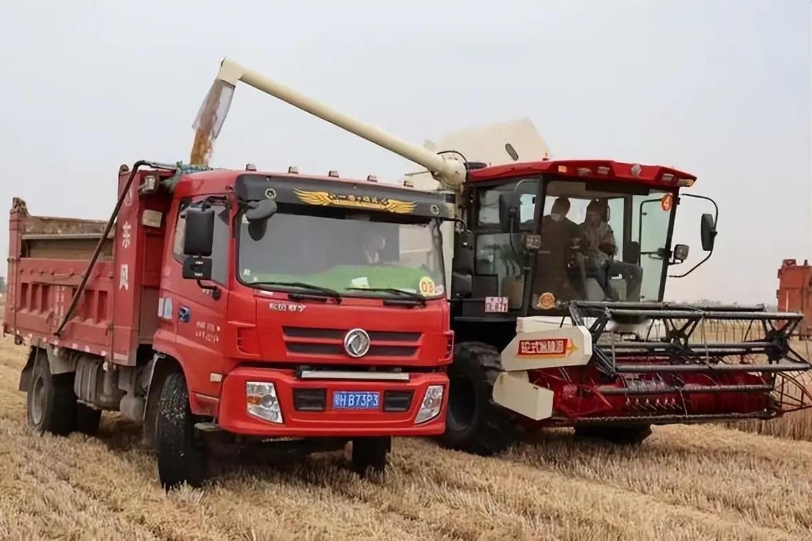 “这样下去还怎么做生意？”新乡原阳，母子俩卖粮食被骗，3车小麦100多吨，28万