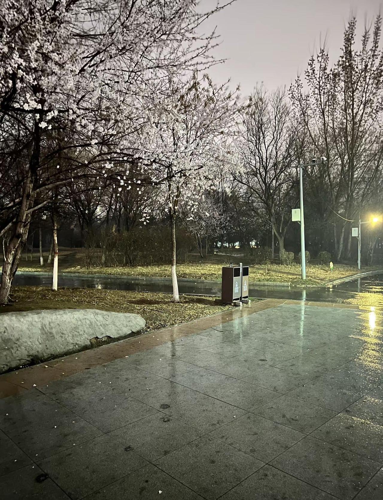 🌍地球online提醒您，请勿在npc身上浪费太多时间，避免影响玩家自身情绪_