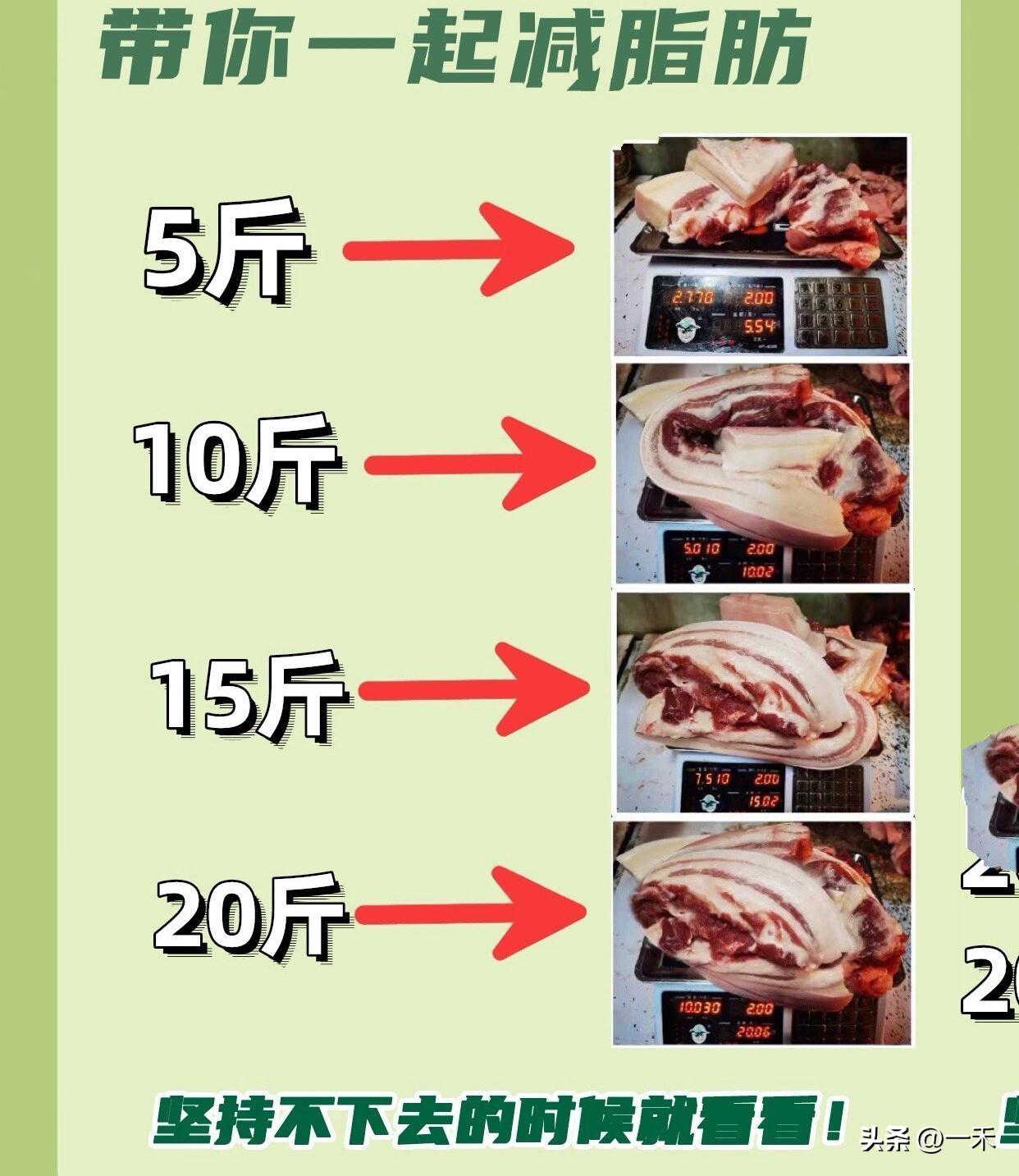 太会了！减重换牛肉火出圈，公共健康玩出新花样
 
家人们，最近一项超有意思的公共