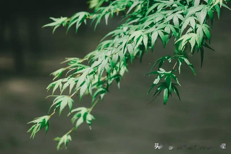 一场秋雨一场寒，深圳今日也有了秋冬的感觉。今日实时温度 24 摄氏度，伴着微风凉