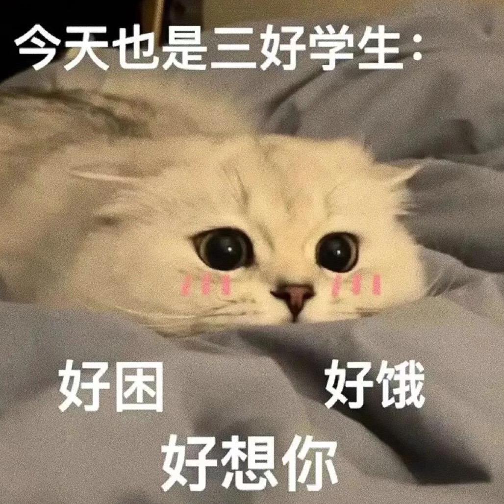 今天也是三好学生，好困好饿好想你。趣味表情包