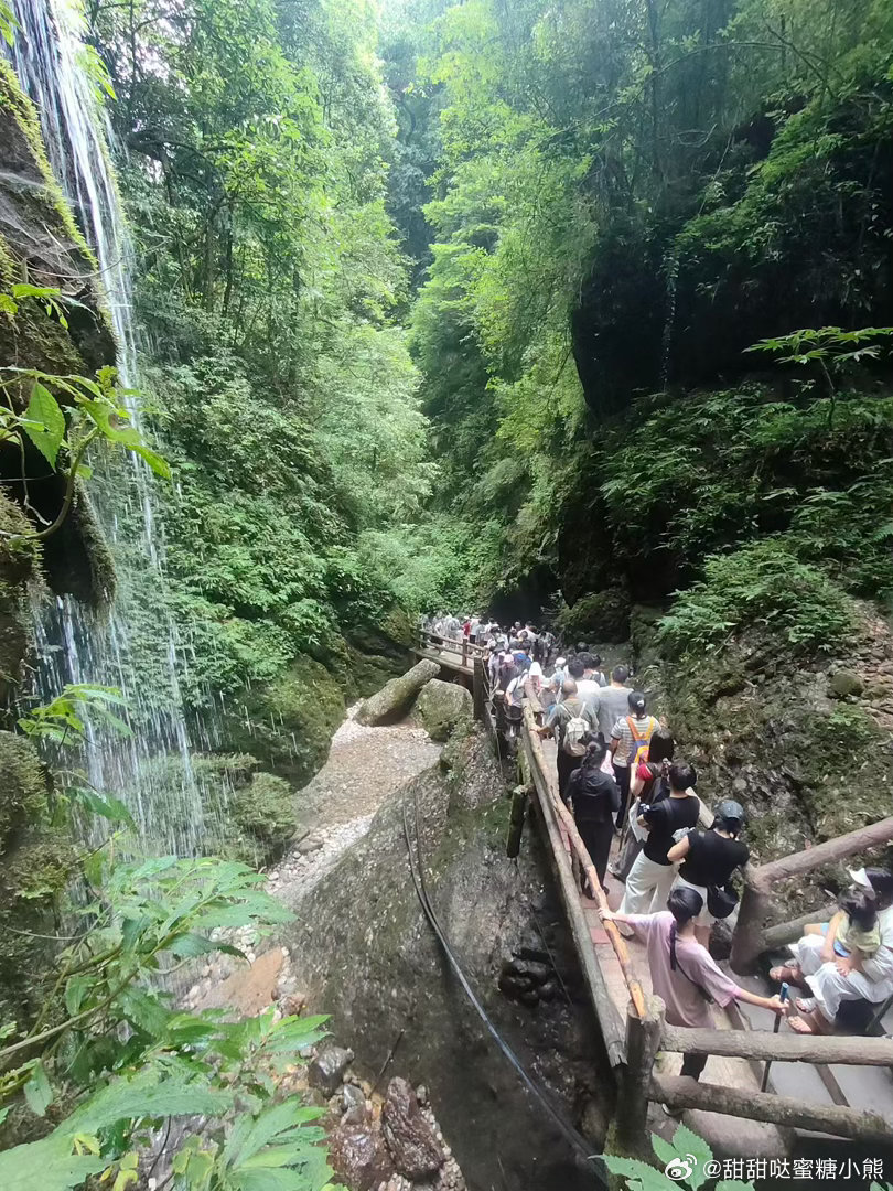 青城后山避暑胜地不要去了，再凉快堵到路上走不动也很蓝瘦，人真的多得爆，想叉哈水也