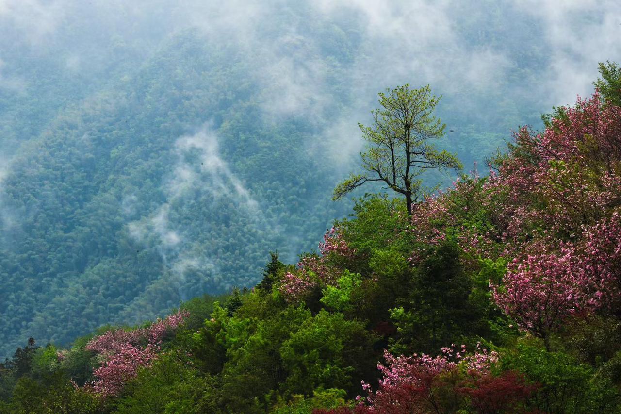 ☀️
美好的一天开始啦！

幸福就是
活在当下，不悔过去，
不忧未来