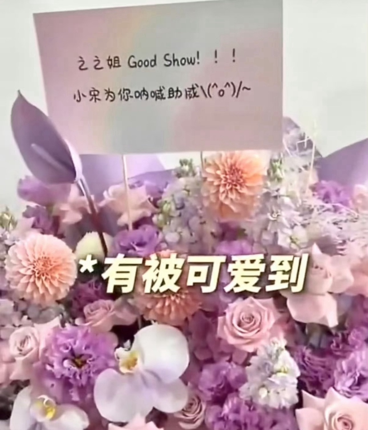小松松送的花篮把之之姐萌到尖叫惹～小萌孩很认真准备花篮哦，送不同人的花篮用了不同