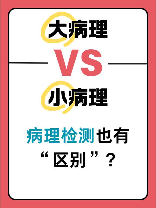 大病理VS小病理，病理检测也有“区别”？