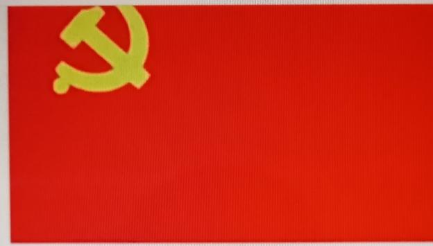 星期四，社区支部下发通知，告知星期五下午2点开展党员主题月活动，也就是上党课。这