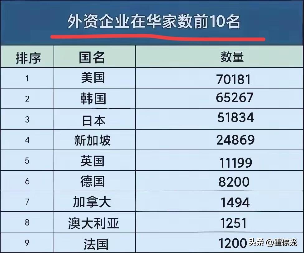 外资企业投资数量排名，哪些国家最偏爱大国？投资数量最大？

前5位排名分别是：