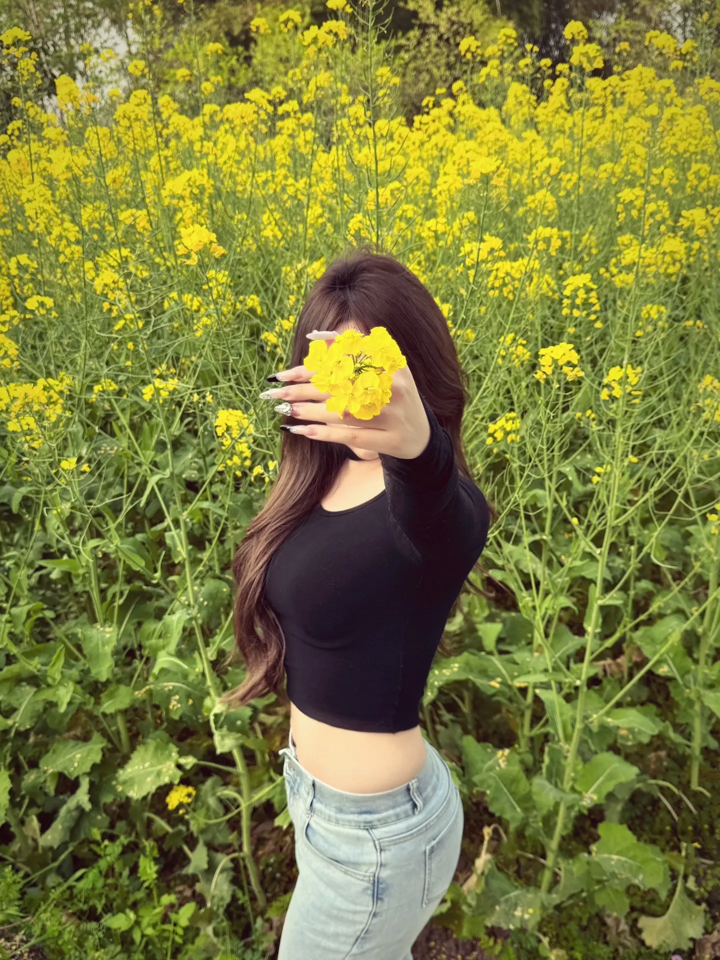 你记得花 花就不会枯萎