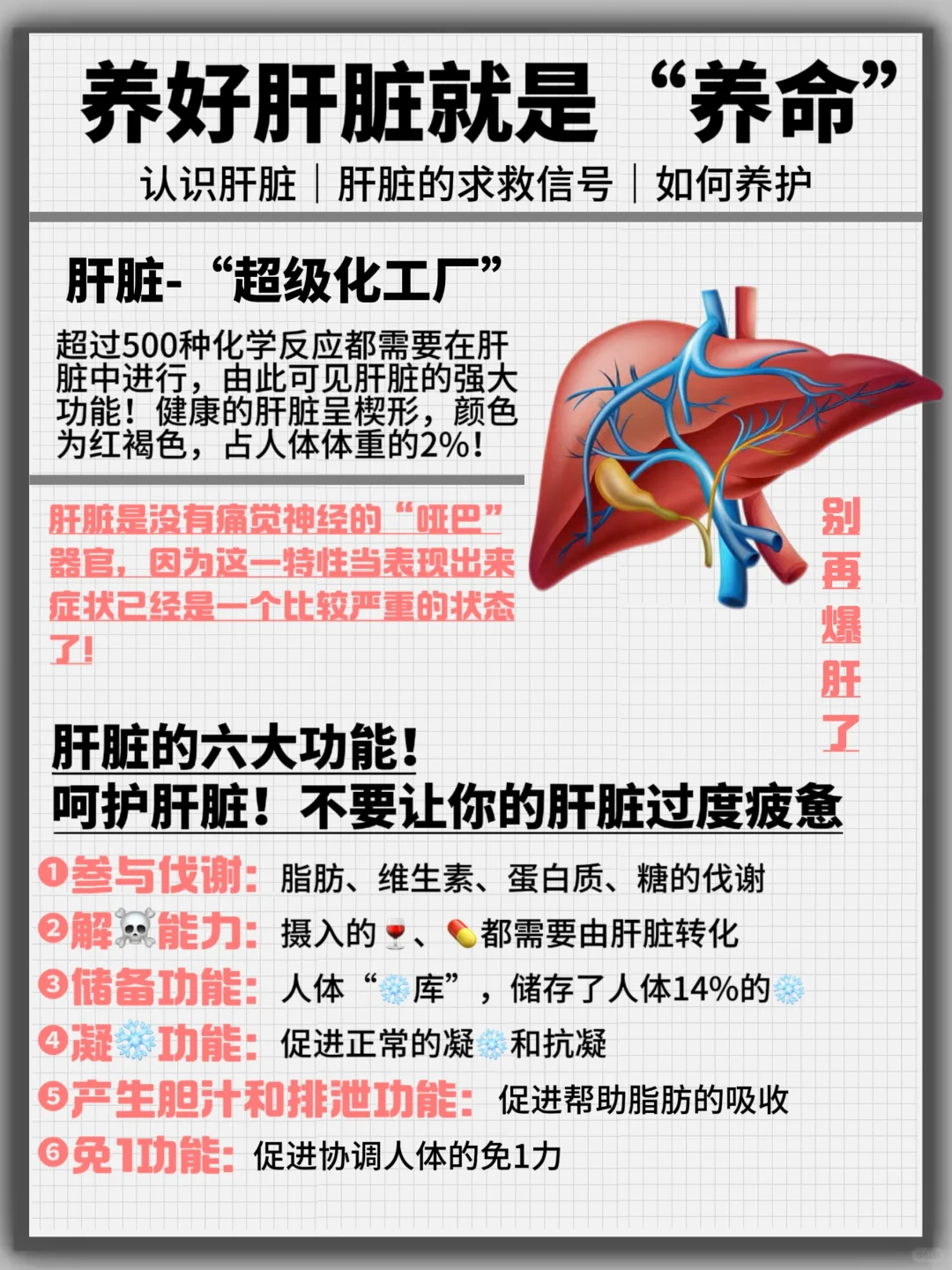 养肝真的要趁早但是别乱吃！