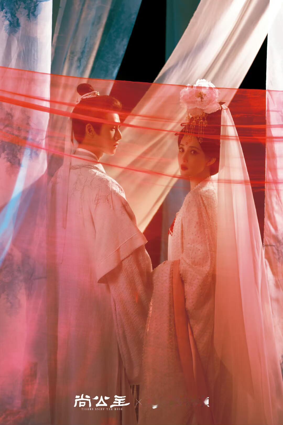 尚公主是大厂新丽的剧尚公主是大厂新丽的剧，期待孟子义李昀锐的表现。啥时候能播啊 