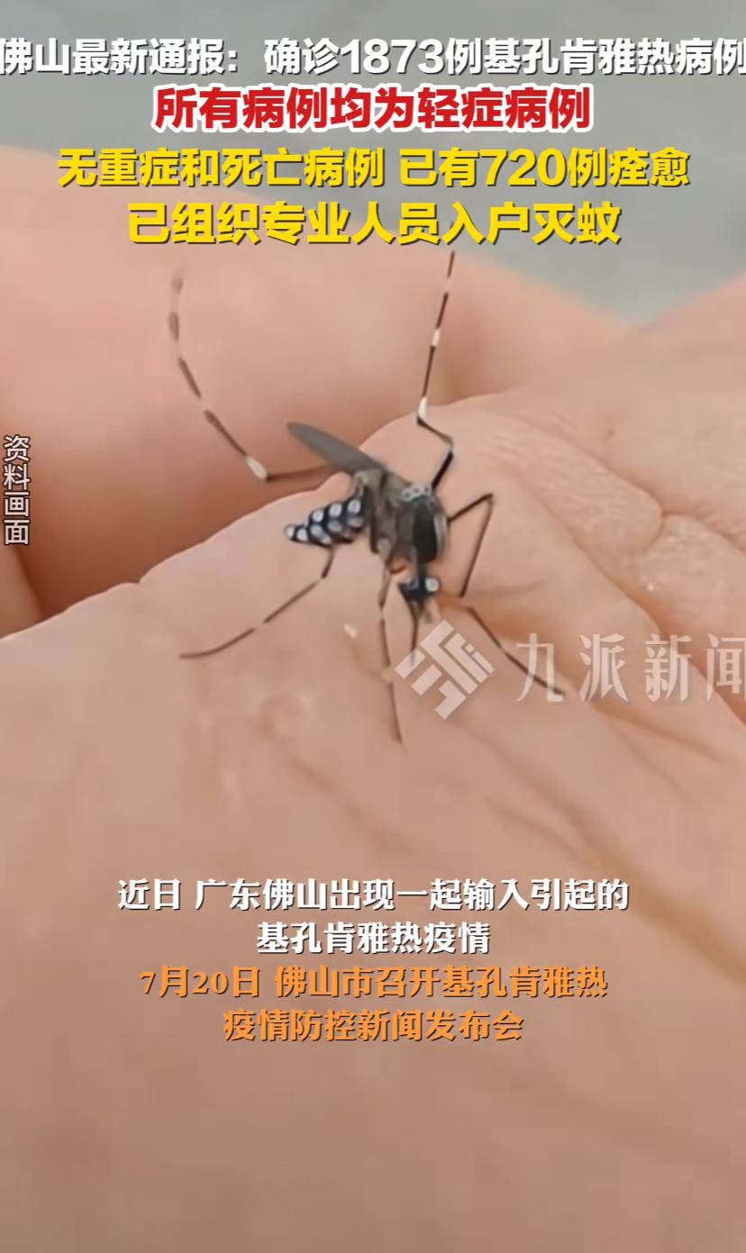 广东的朋友注意了，大夏天不能小看蚊子的威力，佛山发现不少例雅热病例，已经开始组织