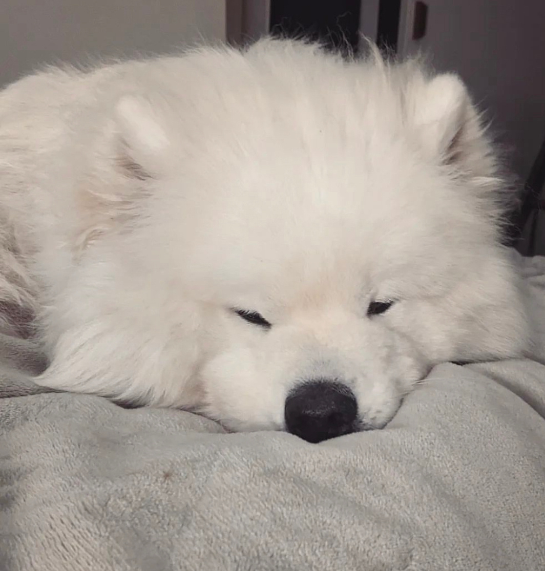晚安耶 