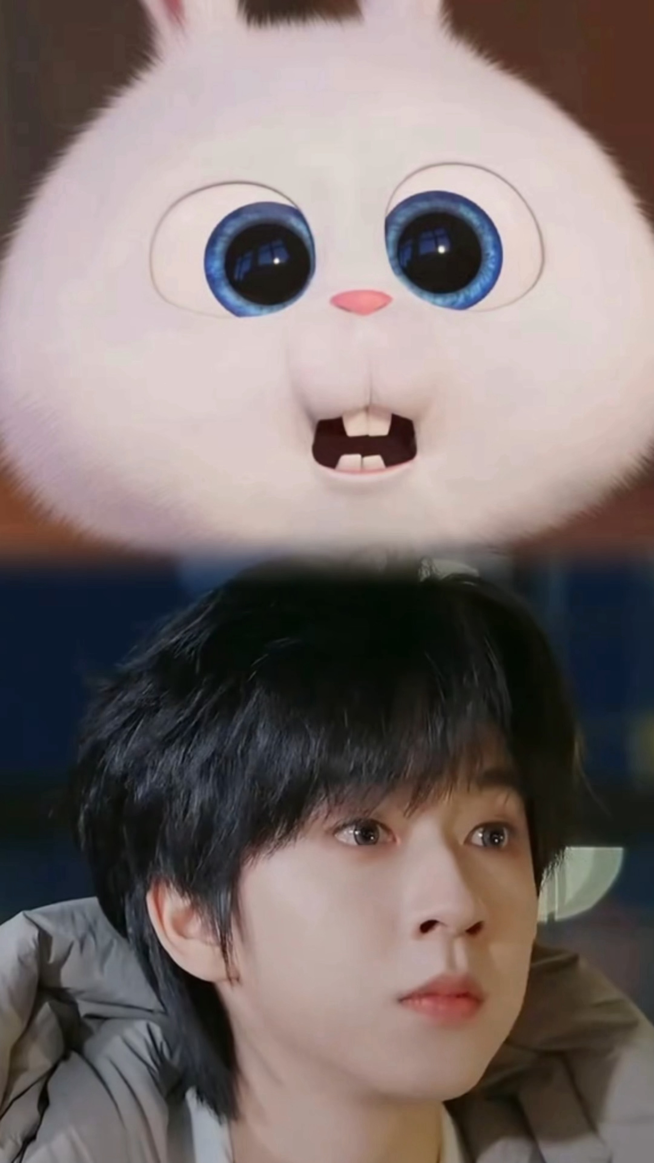 霖霖兔🐰震惊～ 