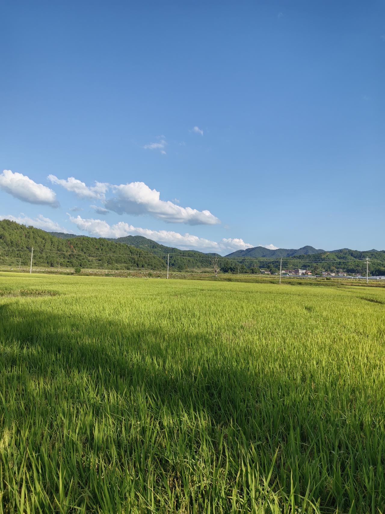 讲真的，国庆回去真的很堵，平常开车只要五个小时，这次回去多开了一个多小时。

不
