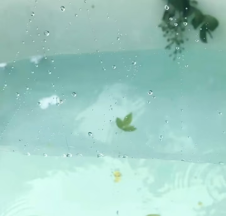 头像背景分享｜🍃𝘿𝙞𝙡𝙧𝙖𝙗𝙖｜迪丽热巴张小斐差点有吻戏｜迪丽热