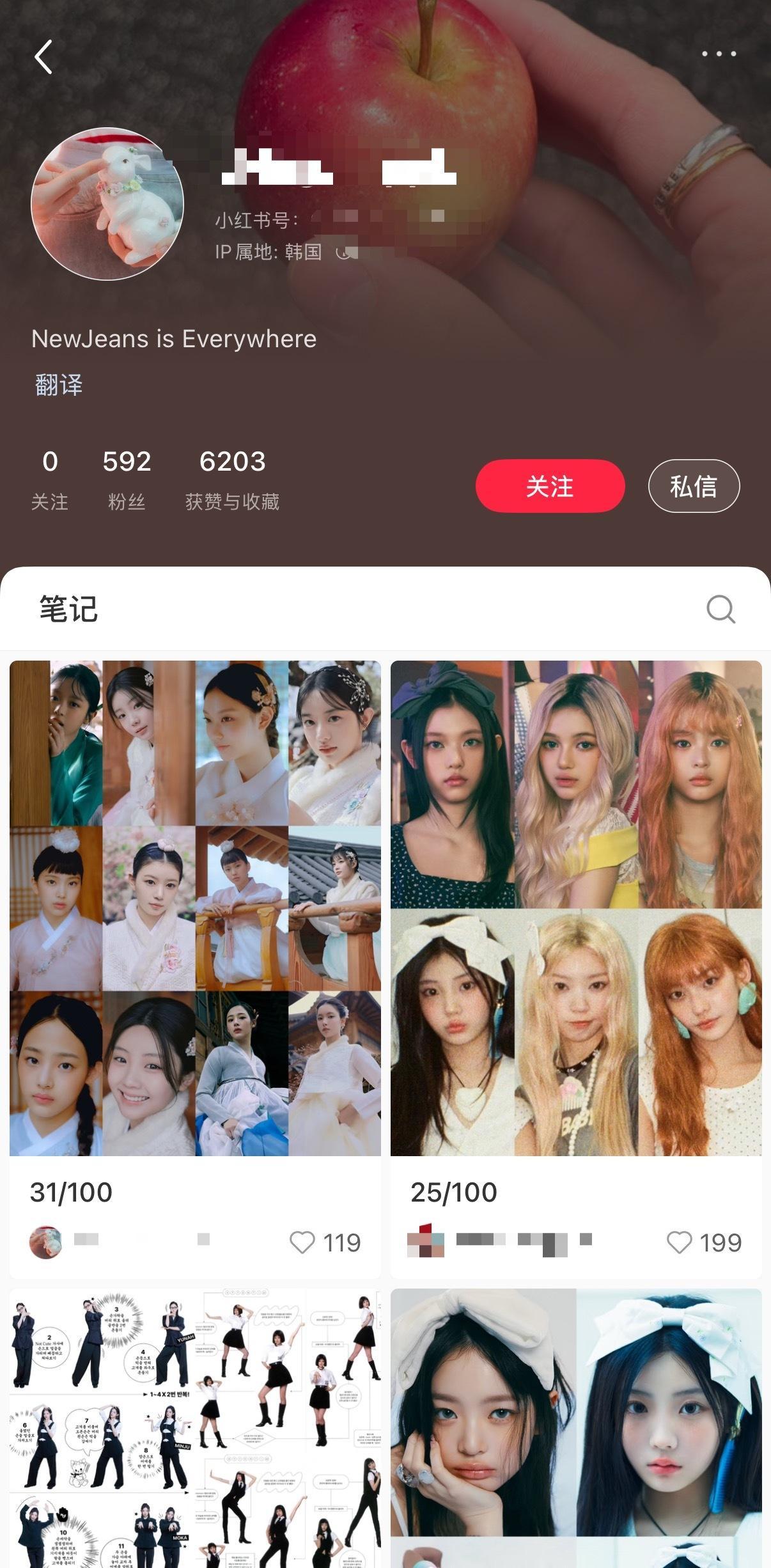 🍠鉴抄 illit 的 NewJeans 粉丝 感觉追星成这样真的很可怜 