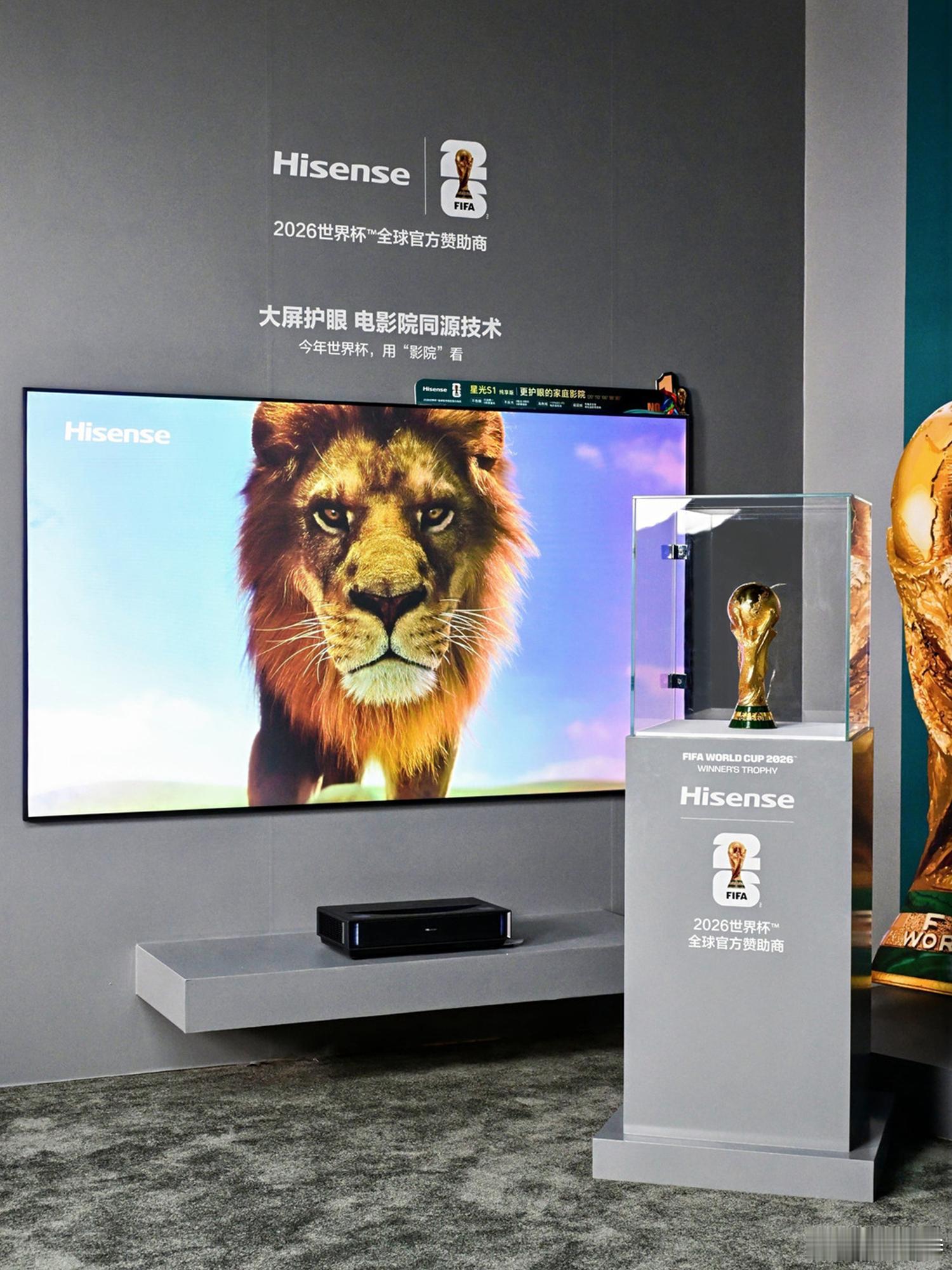 四年一次的世界杯要来啦如果不能去到现场观赛，那在家里也要让观赛氛围感和仪式感拉满