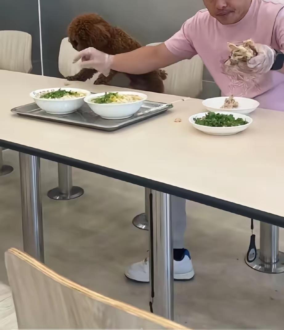 我们这边有个前两年新建成的公园，最初管理规范，门口的“入园告示”完备，条例齐全。