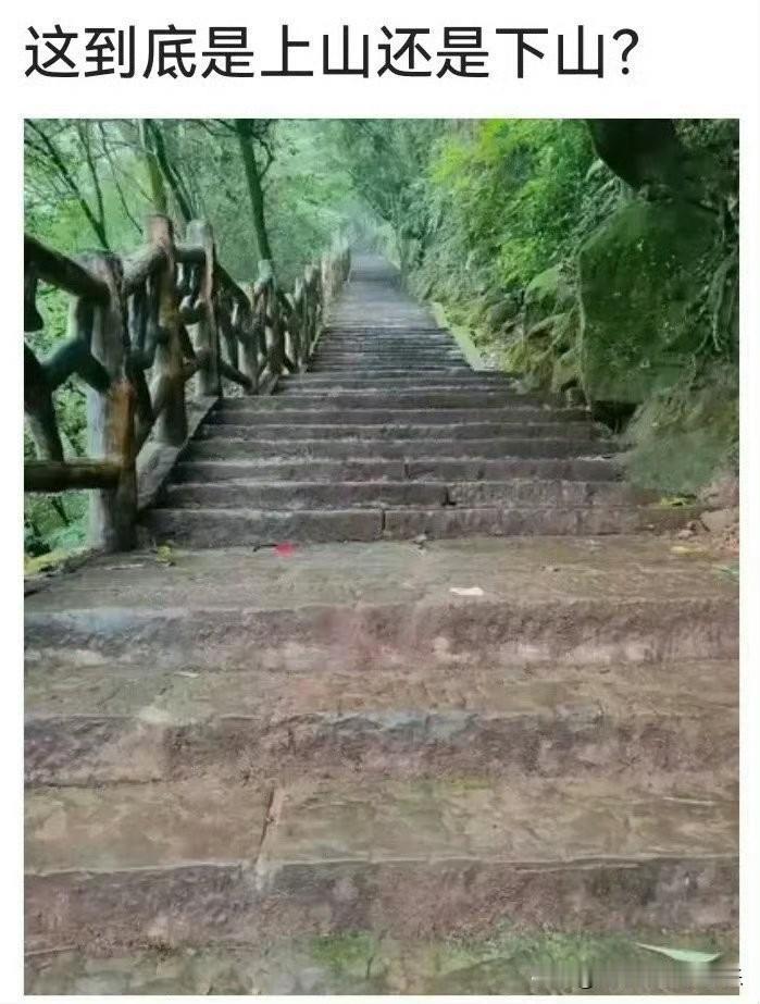 爬过山的人都晓得。上山时要用力，即使摔倒爬起来还可以继续，没啥问题；下山时则要小