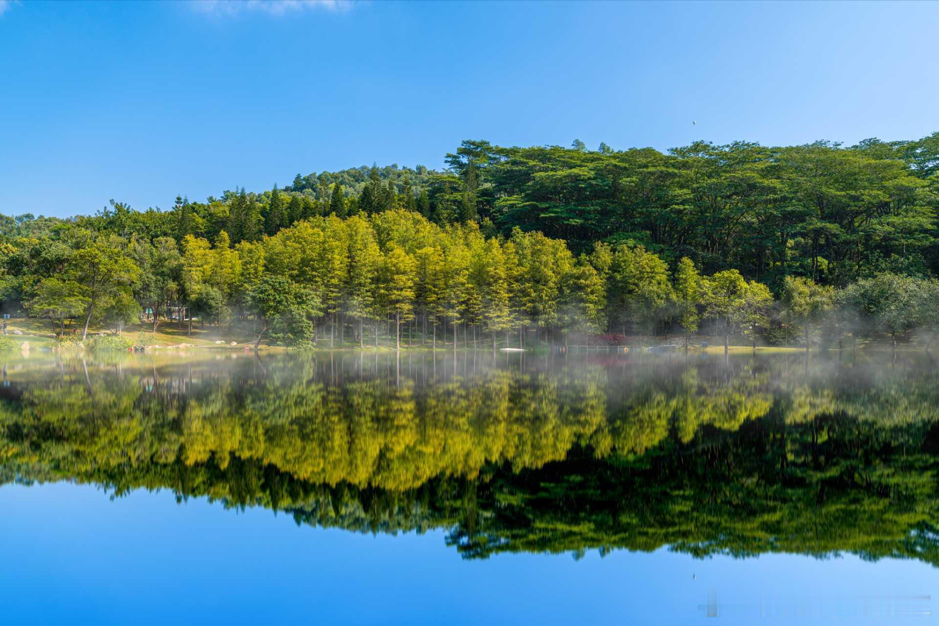大学生创业 有一个“校园咖啡”项目，启动资金20万元他把通过众筹融资，第一批联创